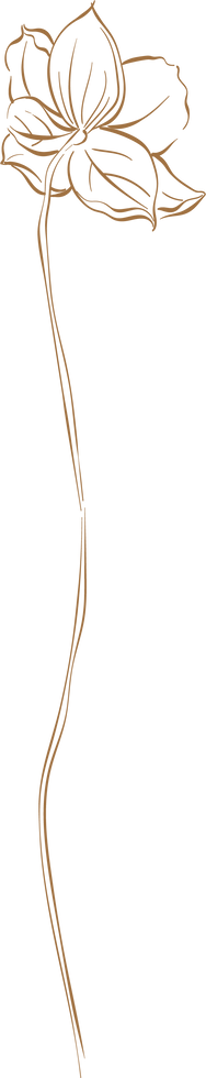 Hand Drawn Branch of Brown Flower Element.